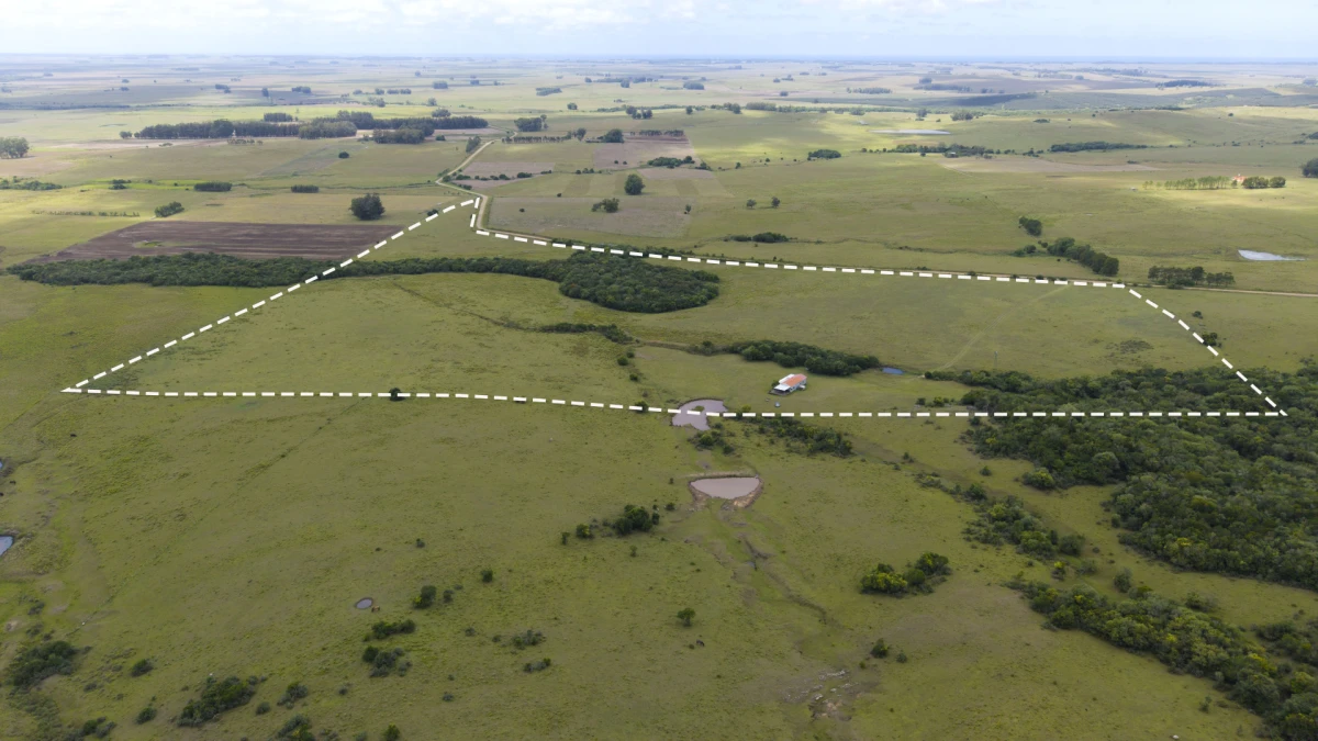 Campo en La Paloma