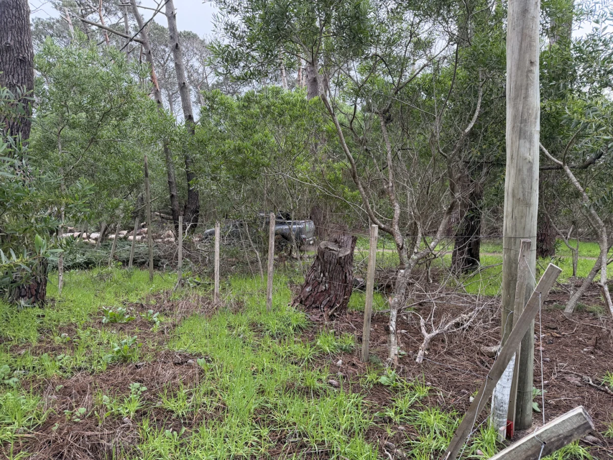 Terreno en La Serena