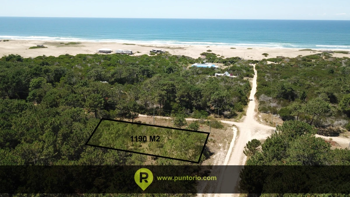 Se venden dos terrenos juntos en Oceanía del Polonio