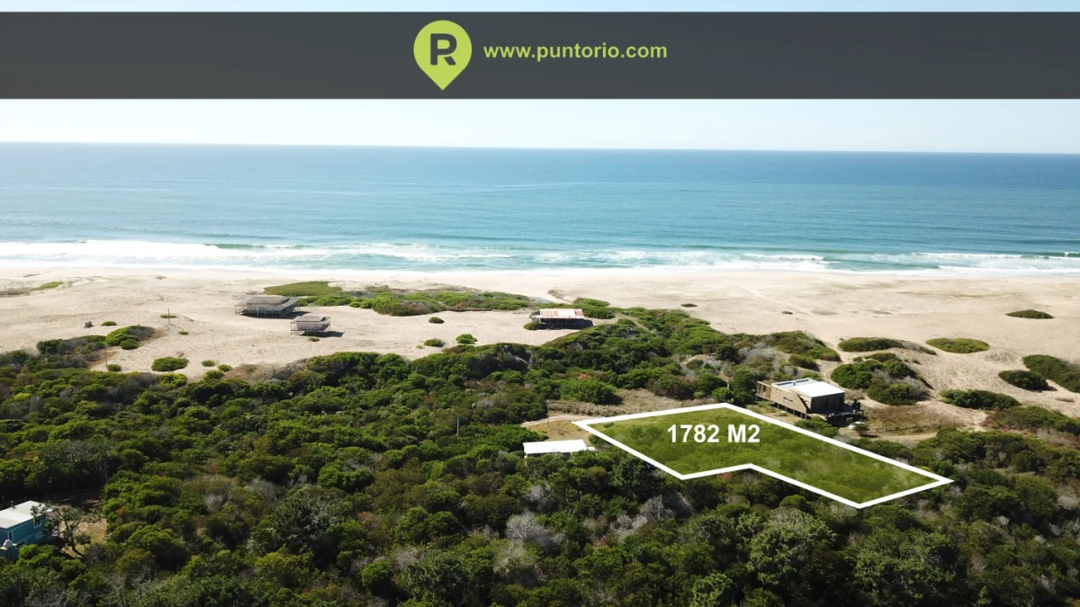 Se venden tres terrenos en Oceanía del Polonio