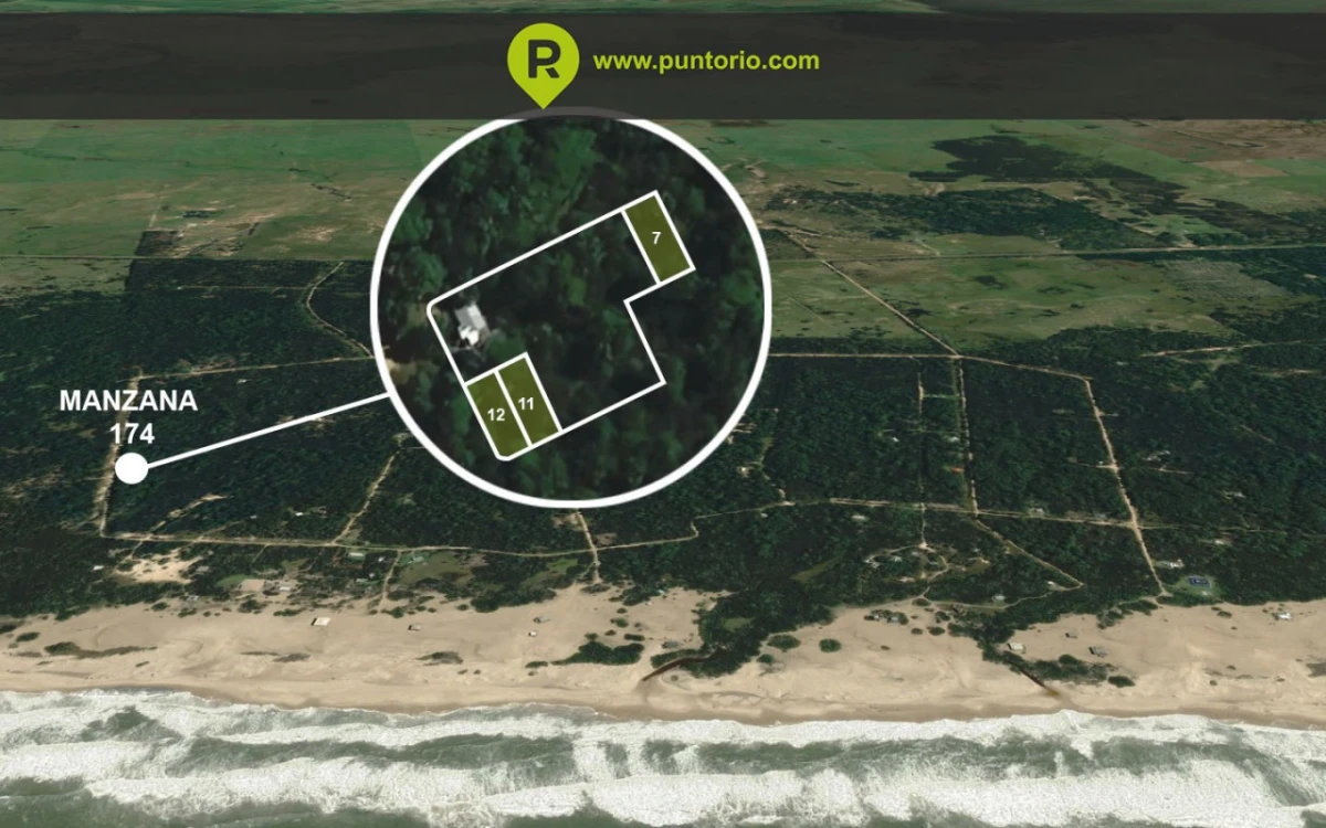 Ubicados en Oceania del Polonio en la manzana 174