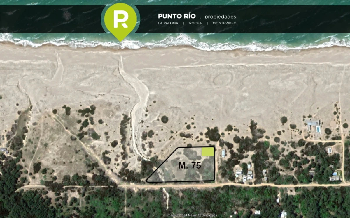 San Antonio Rocha