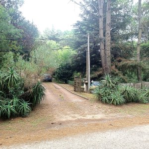 Casa en Punta Ballena 