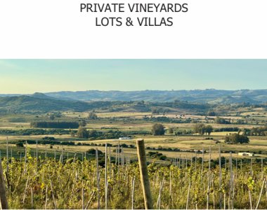 Venta parcelas de 5 hectáreas en Viña Edén Private Vineyards.  Punta del Este