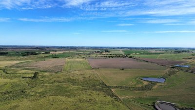 Oportunidad Campo Productivo en Florida 150 hectareas.