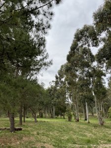 Terreno en Chacras del pinar