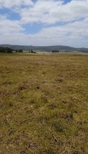 Venta de terreno en San Carlos