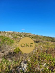 Entre Cañadas y Silencios: 7 Hectáreas y media en Aiguá