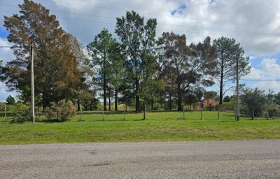 VENTA TERRENO 10439M2 MINAS
