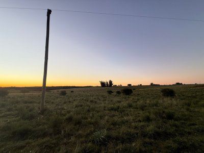 Chacra en venta - 15 Hectáreas San Carlos 