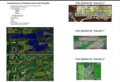 Campo en venta - Paraguay