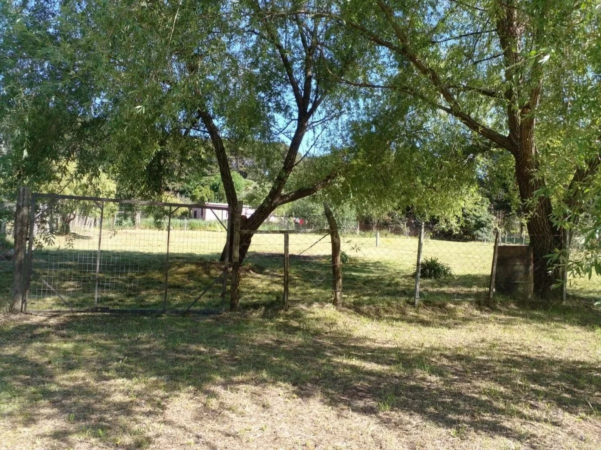 Terreno en venta, punta ballena.