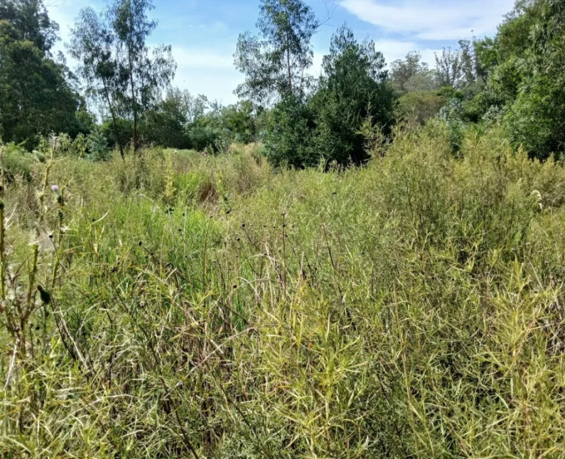 Terreno en venta Edén Rock