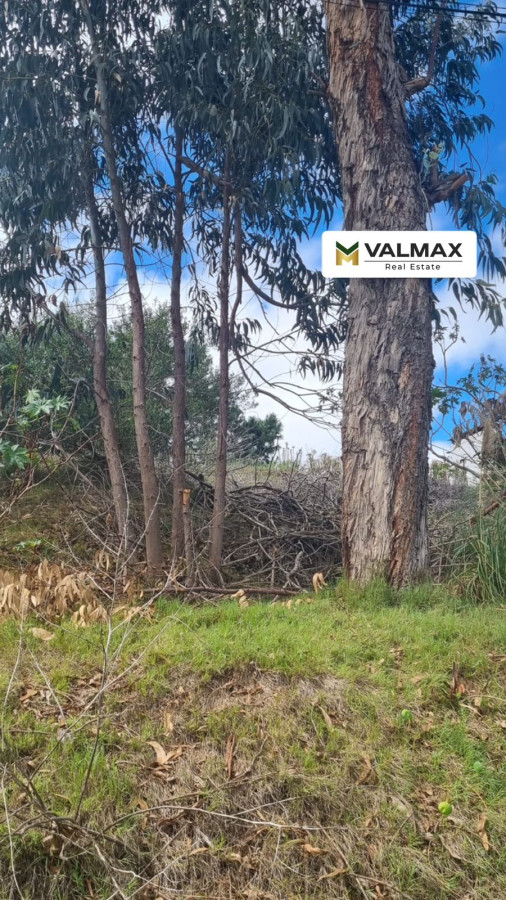 Terreno en venta, Altos del Pinar 