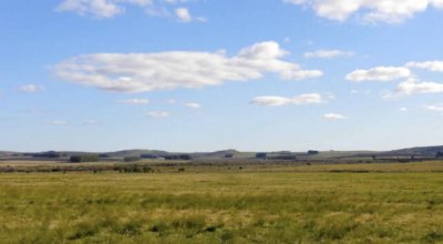 CAMPO AGRICOLA EN ROCHA