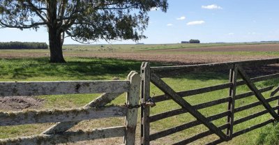 ESTANCIA EN SARANDI