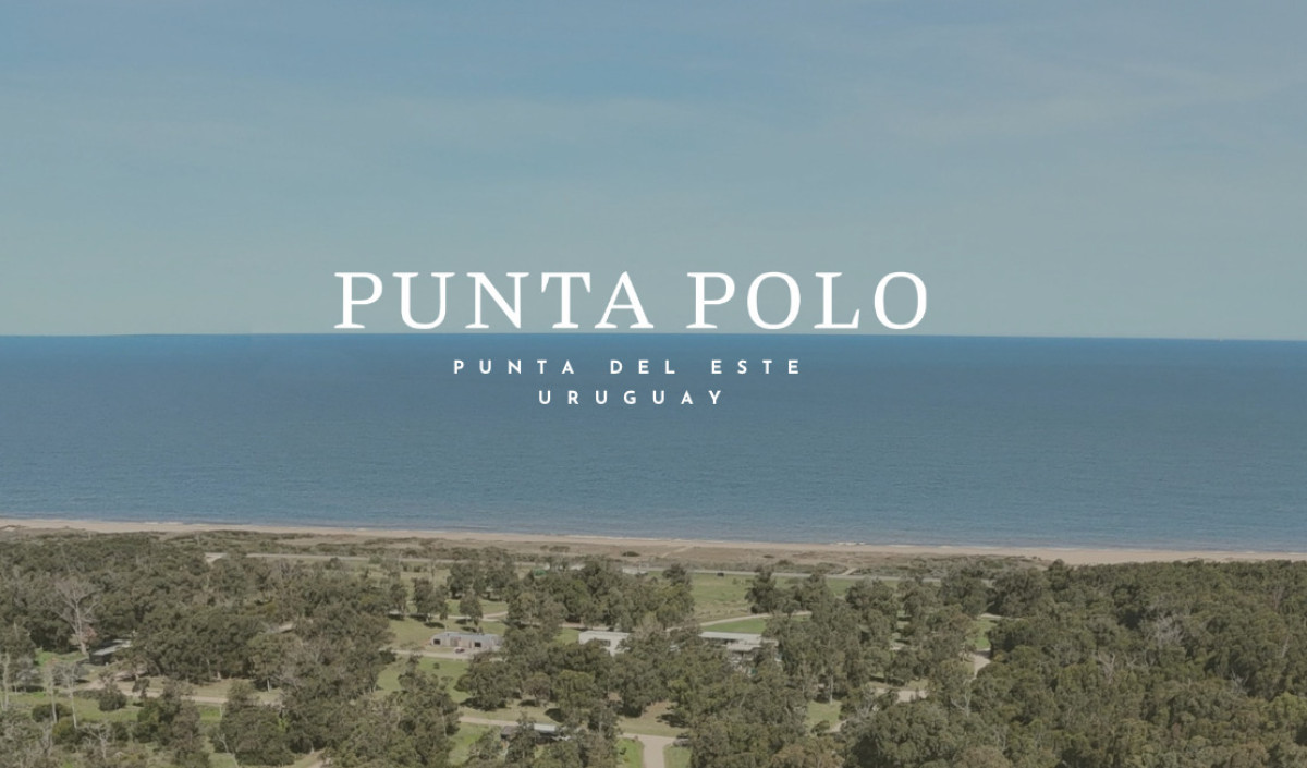 TERRENOS EN PUNTA POLO