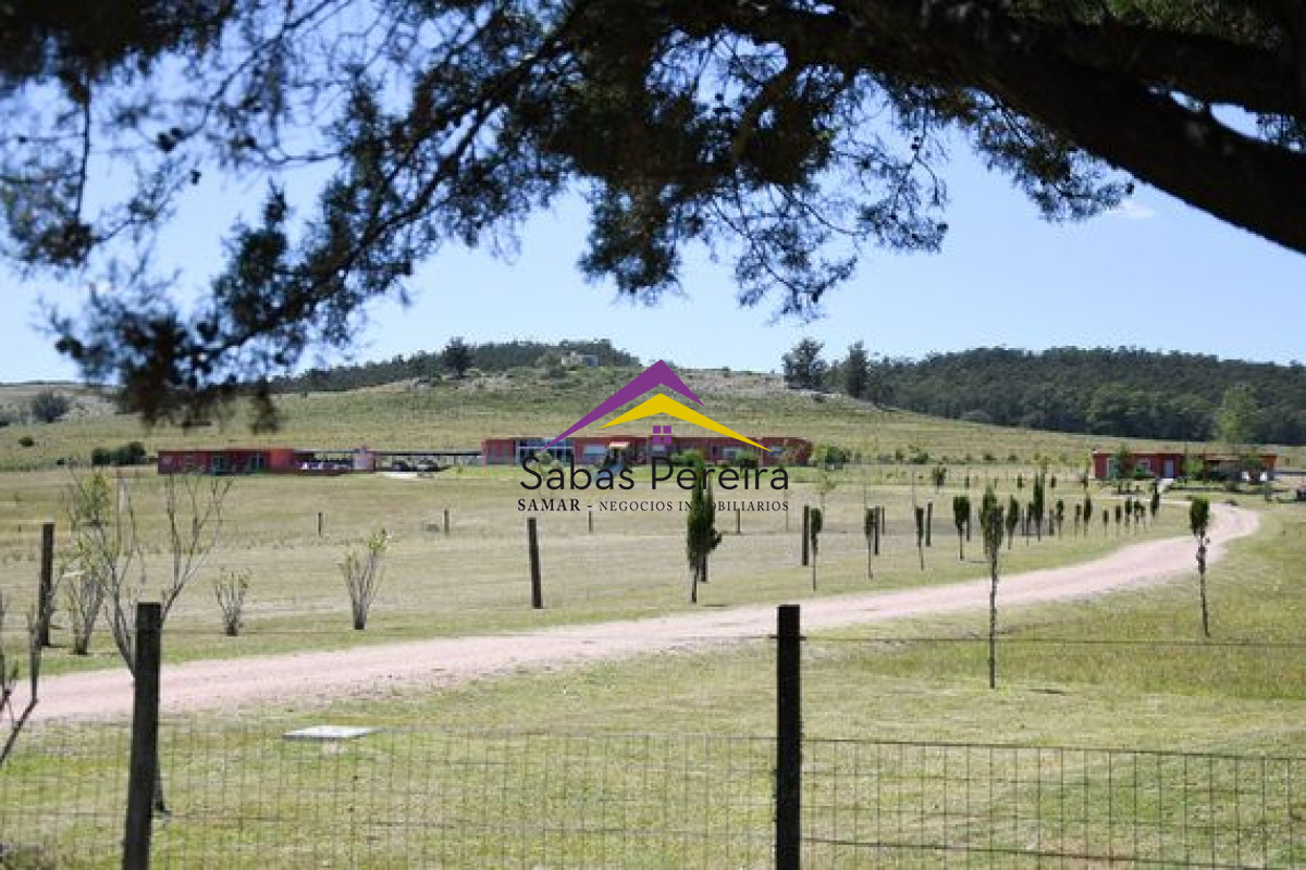 Sanabria - GoPunta - Portal Inmobiliario de Punta del Este - Maldonado
