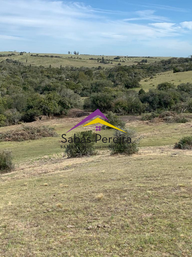Garzon - GoPunta - Portal Inmobiliario de Punta del Este - Maldonado