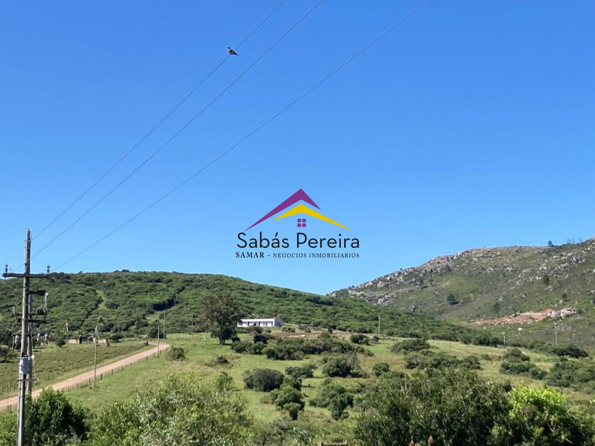 Zona Rural - GoPunta - Portal Inmobiliario de Punta del Este - Maldonado