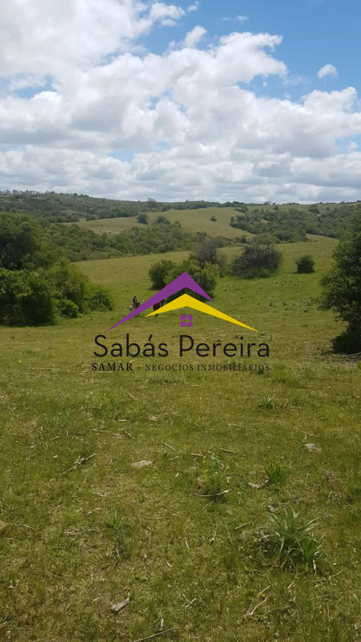 Garzon - GoPunta - Portal Inmobiliario de Punta del Este - Maldonado