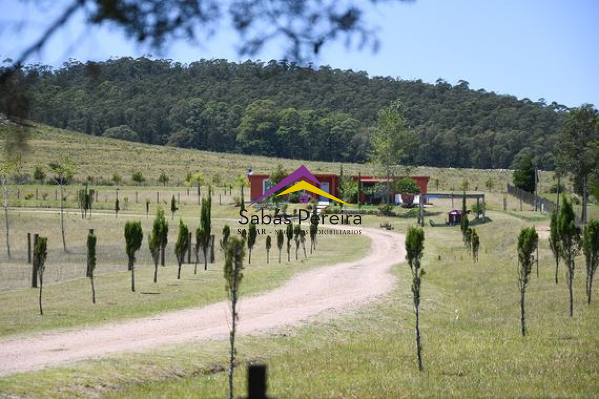 Sanabria - GoPunta - Portal Inmobiliario de Punta del Este - Maldonado