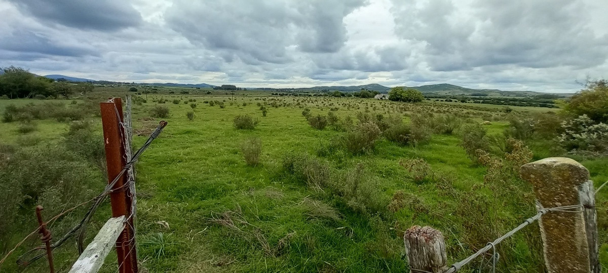 Venta chacra de 10 hectáreas, Pan de Azúcar, Piriápolis, Maldonado