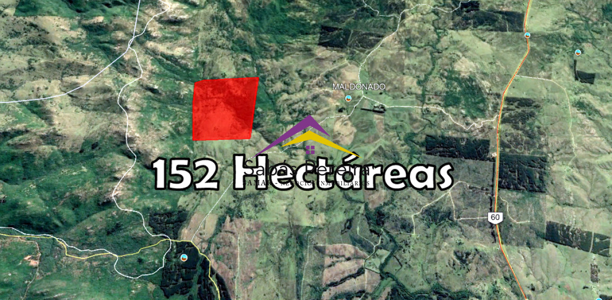 Venta campo 152há, Rural, Maldonado - GoPunta - Portal Inmobiliario de Punta del Este - Maldonado