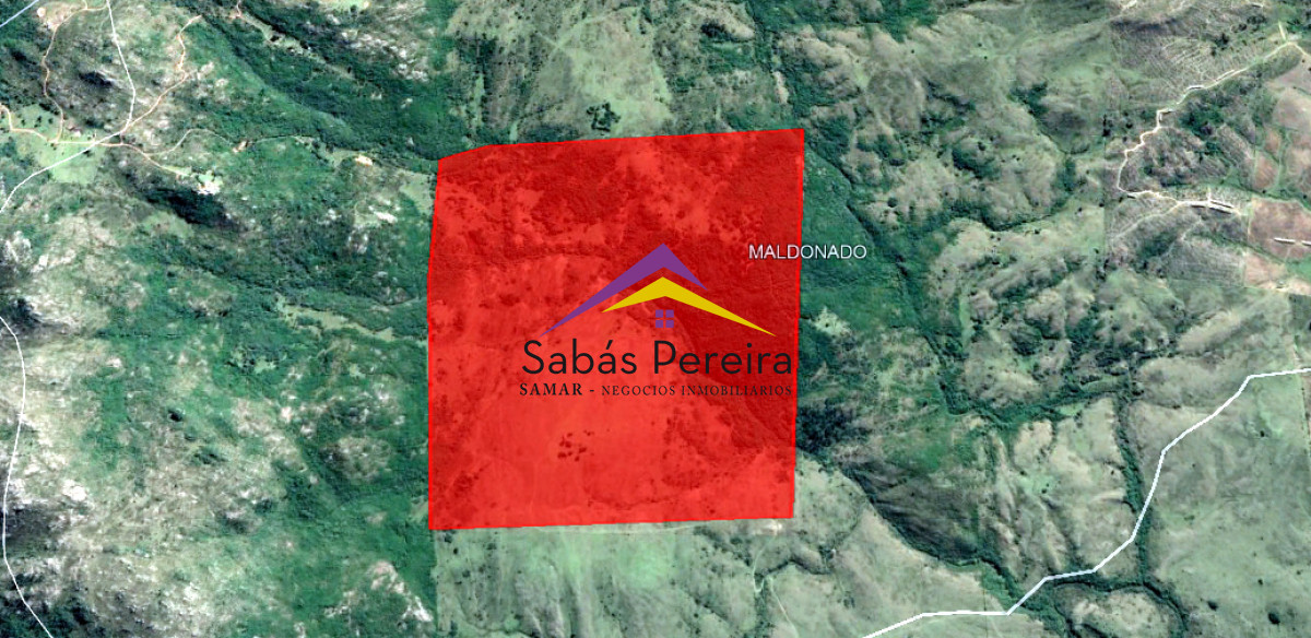 Venta campo 152há, Rural, Maldonado - GoPunta - Portal Inmobiliario de Punta del Este - Maldonado