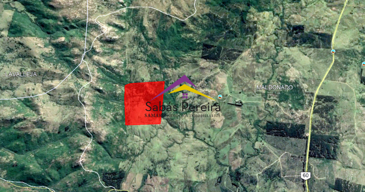 Venta campo 152há, Rural, Maldonado - GoPunta - Portal Inmobiliario de Punta del Este - Maldonado
