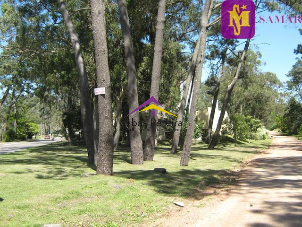 San Rafael - GoPunta - Portal Inmobiliario de Punta del Este - Maldonado