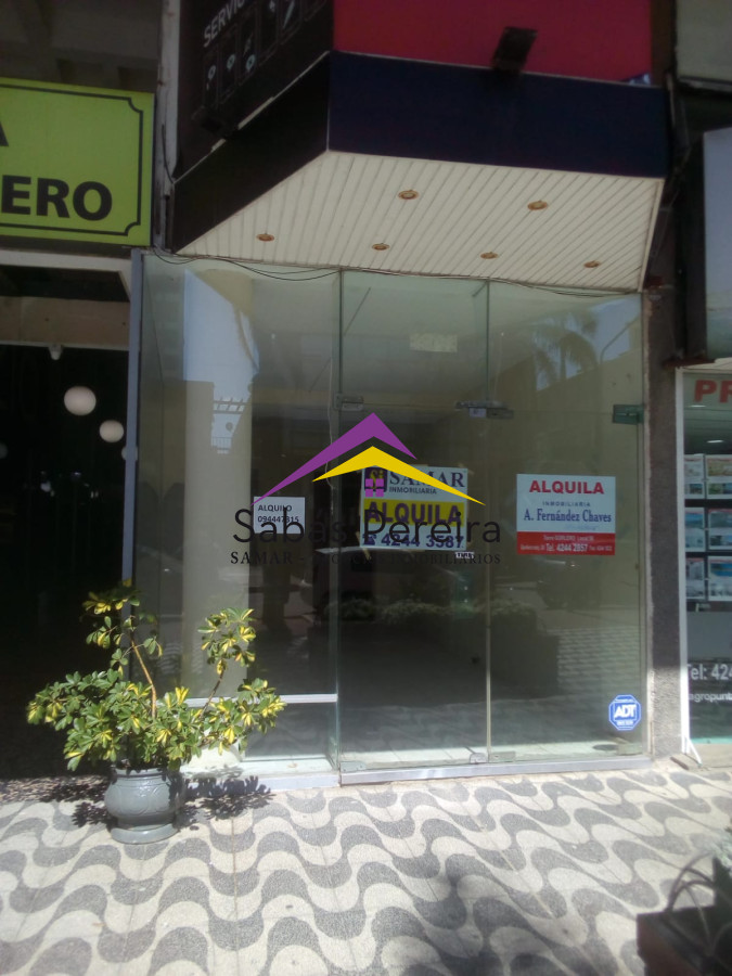 Peninsula - GoPunta - Portal Inmobiliario de Punta del Este - Maldonado
