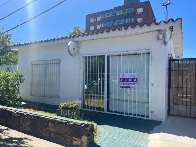 ALQUILER DE LOCAL EN EL CENTRO DE MALDONADO