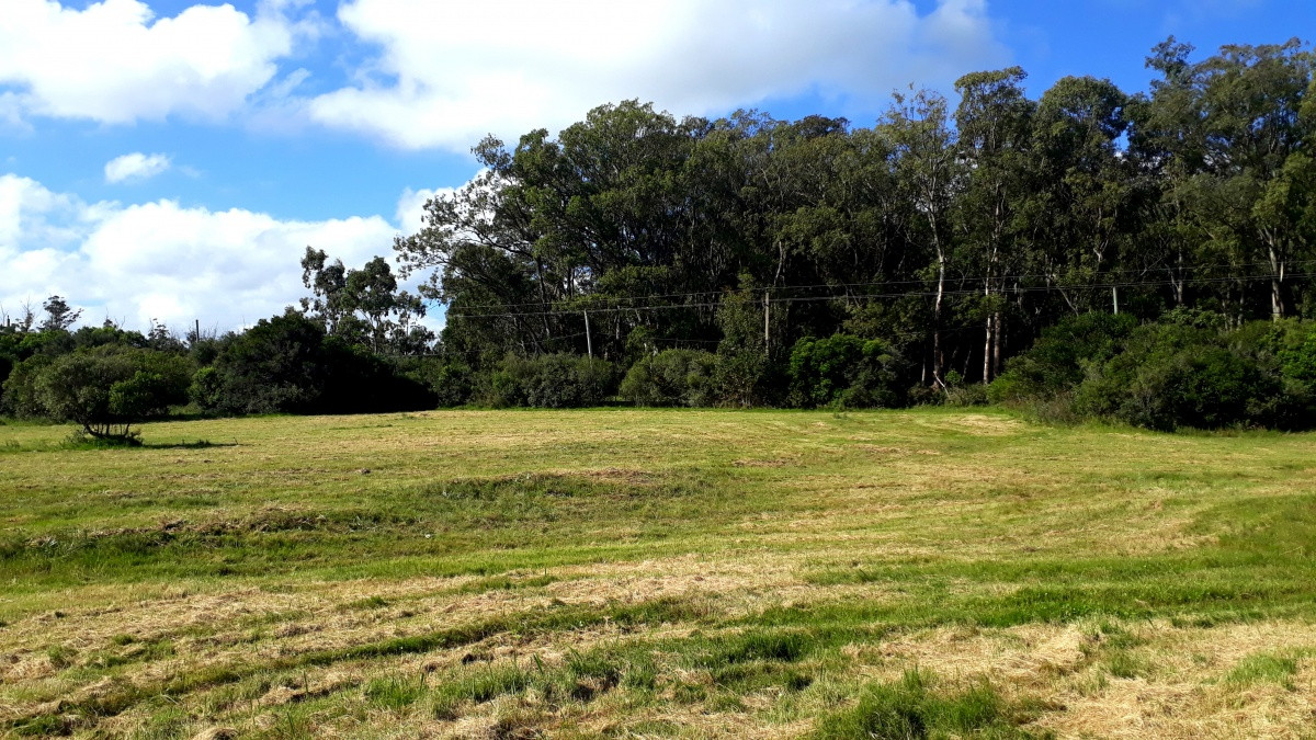 Venta terreno 1943m2, Las Flores, Piriápolis, Maldonado