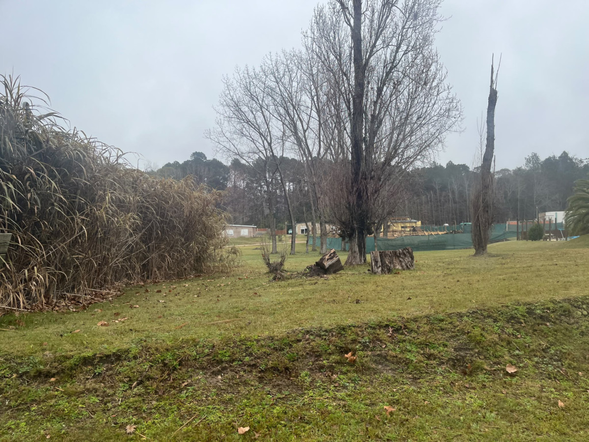 Terreno en Verdemora en Venta - Punta Ballena