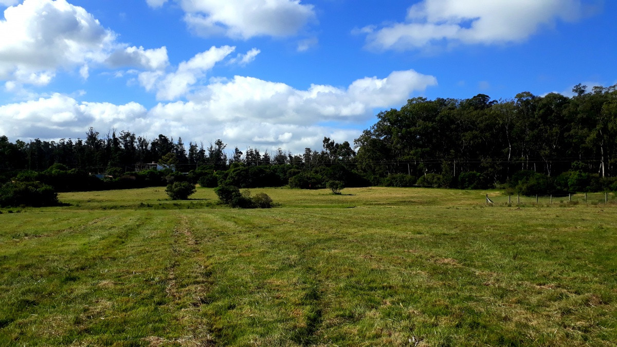 Venta terreno 2041m2, Las Flores, Piriápolis, Maldonado