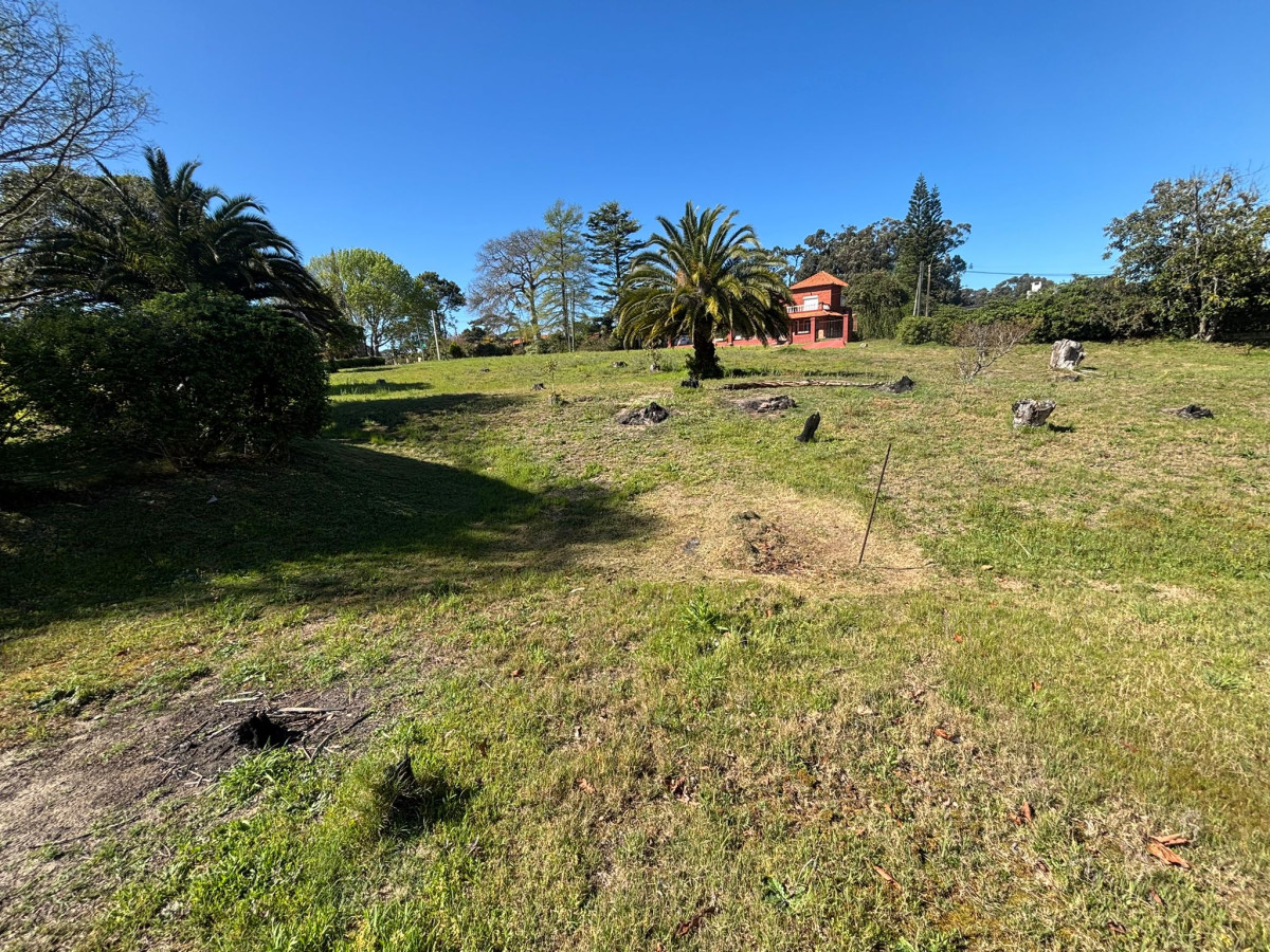 VENTA TERRENO PINARES 