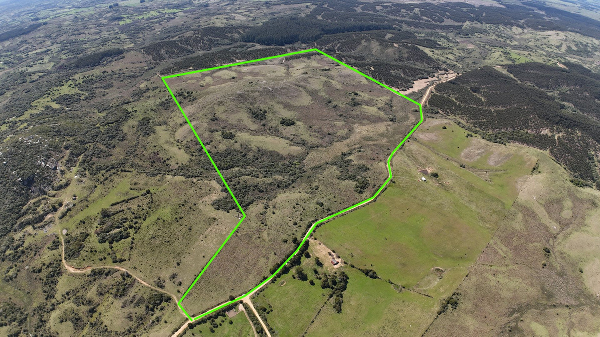 Campo En Rocha - Ganadero Turístico O Para Fraccionar
