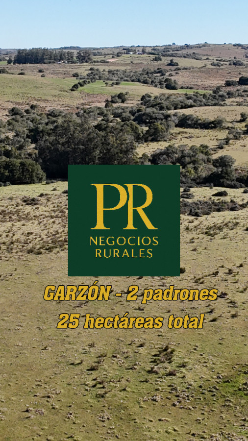 Campo En Venta En Garzon Chacra