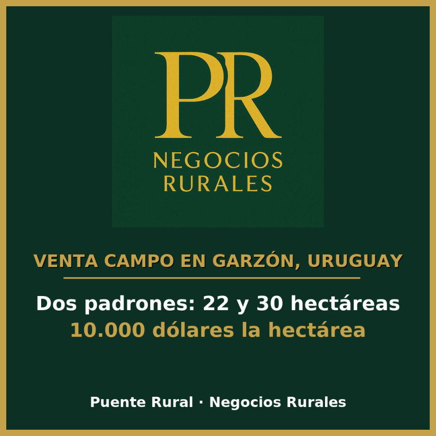 Campo En Garzon 52 Hectareas En 2 Padrones. Pueblo Garzon Venta, Ganadero, Turistico Garzón Maldonado