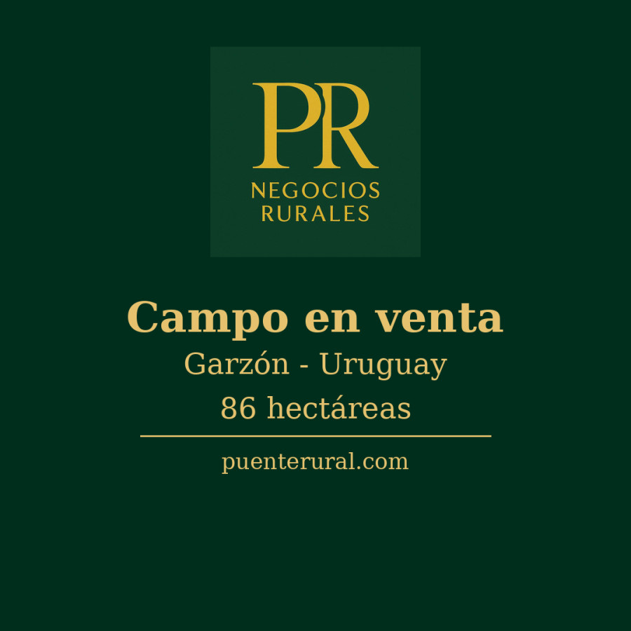 Campo En Venta Gazon Maldonado Ruta 10 - 86 Hectareas - Puente Garzon