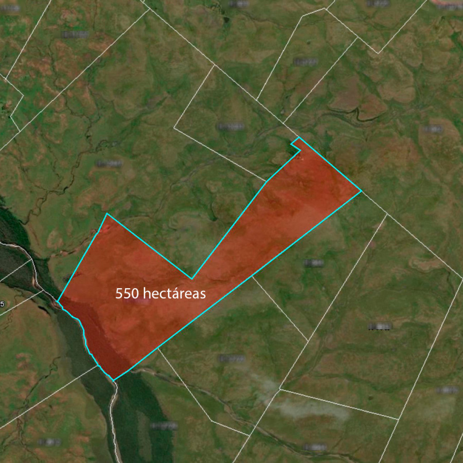 Campo Salto 550 hectáreas