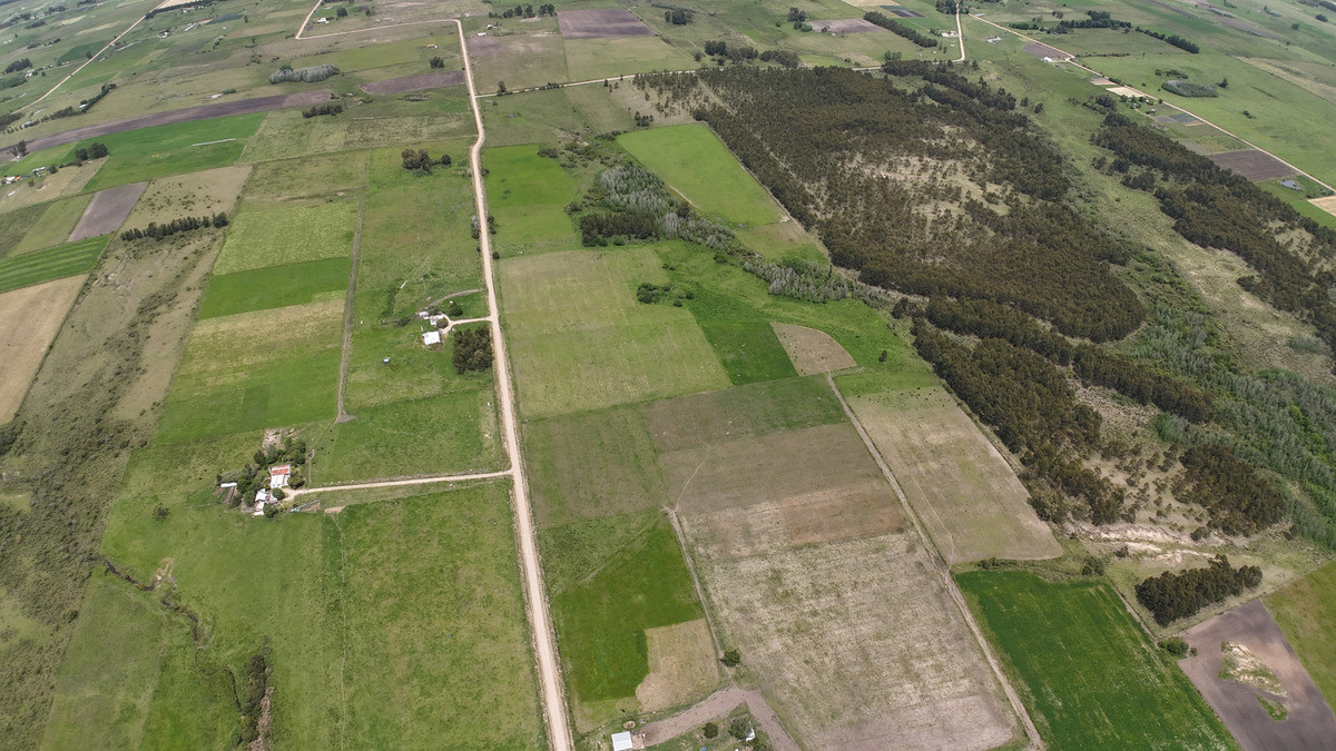 Chacras en Tala, acceso por Ruta 12, 2 km por camino vecinal.
