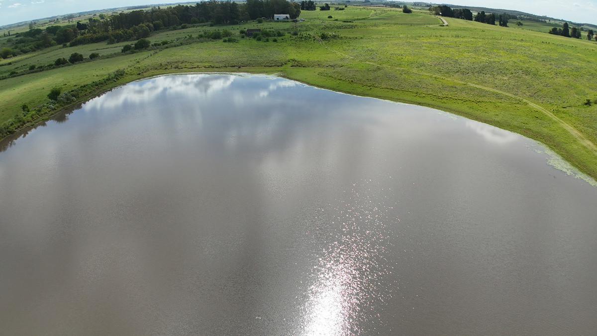 Campo próximo a Migues 129 hectáreas.
