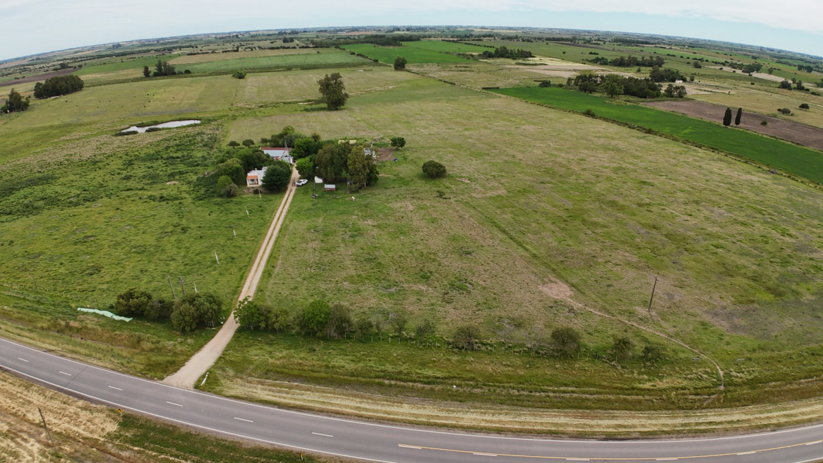 Campo en San Ramón - Tambo Completo - Casa + Galpones