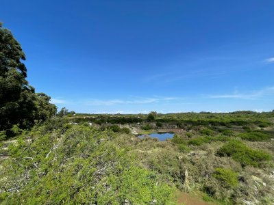 Terreno de 6 Hectáreas con Cantera | Proximidad a la Costa | Colonia del Sacramento