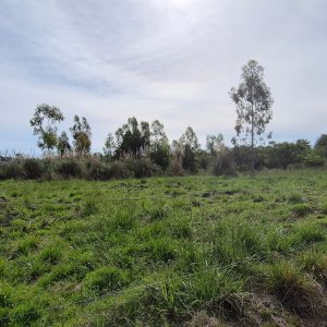 Terreno en Venta en Zona Urbana de Riachuelo | Colonia del Sacramento U$S 26.000 | 1.000 m² | Frente a dos calles