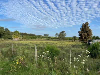 Terreno en Venta | 1 Hectárea con Frente a Ruta 1 | Precio: U$D 90.000
