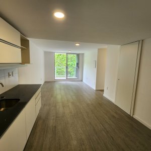Alquiler apartamento en Brazo Oriental 2 dormitorios y parrillero.