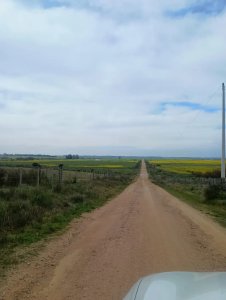 Chacras en Venta Atlántida Canelones 